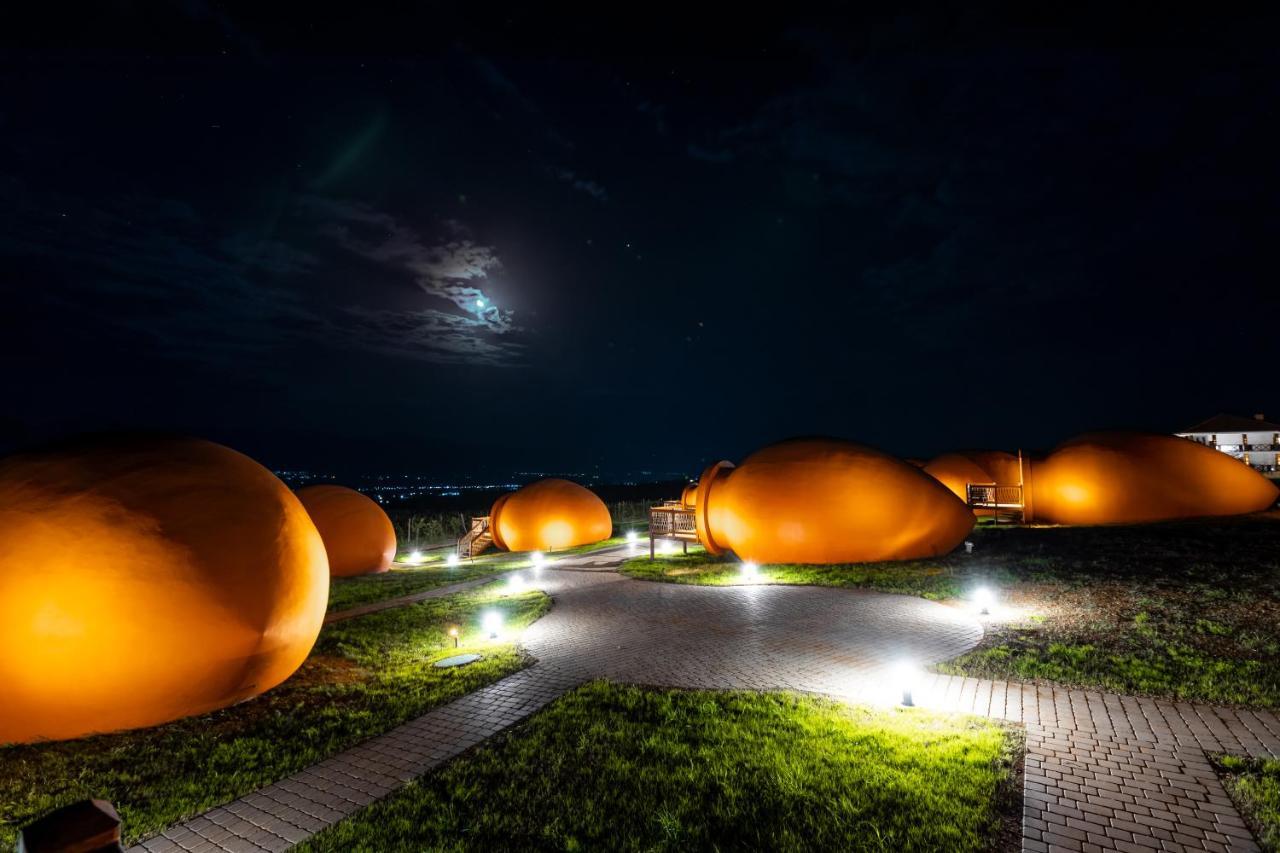 Hotel Qvevrebi Τελάβι Εξωτερικό φωτογραφία