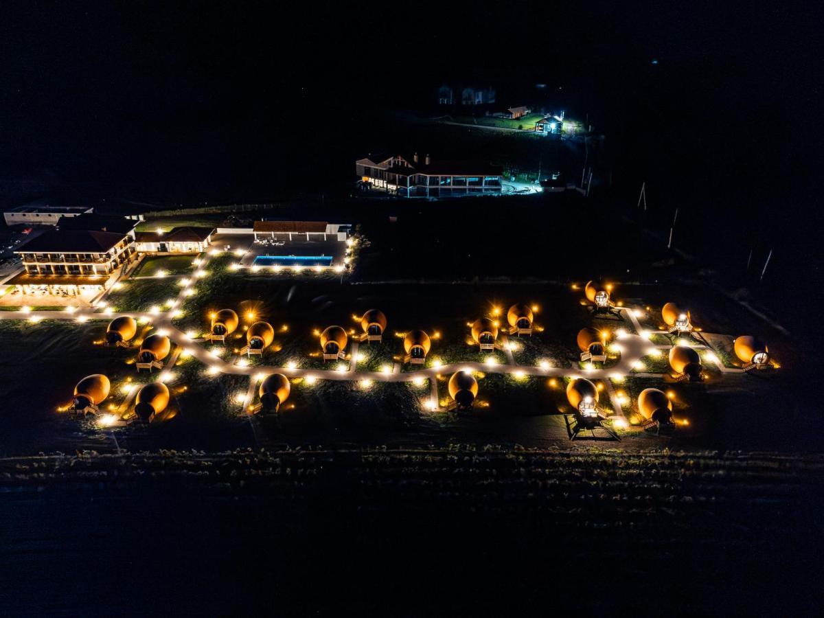 Hotel Qvevrebi Τελάβι Εξωτερικό φωτογραφία